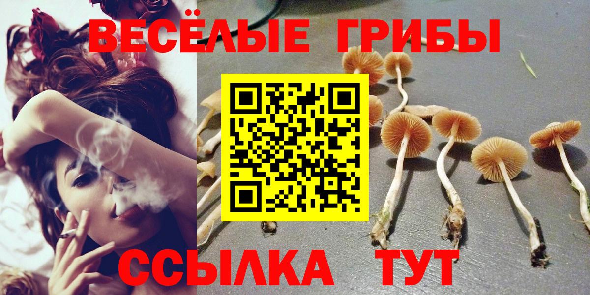 Псилоцибиновые грибы Psilocybe  Галлюциногенные грибы Cubensis  Вход с VPN  Кумертау 